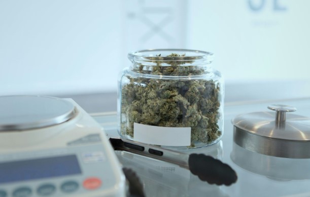 How to Save Money Using a Dispensary Price Menu Effectively