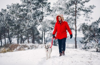 What You Need to Consider Before You Take Your Dog Hiking in the Snow